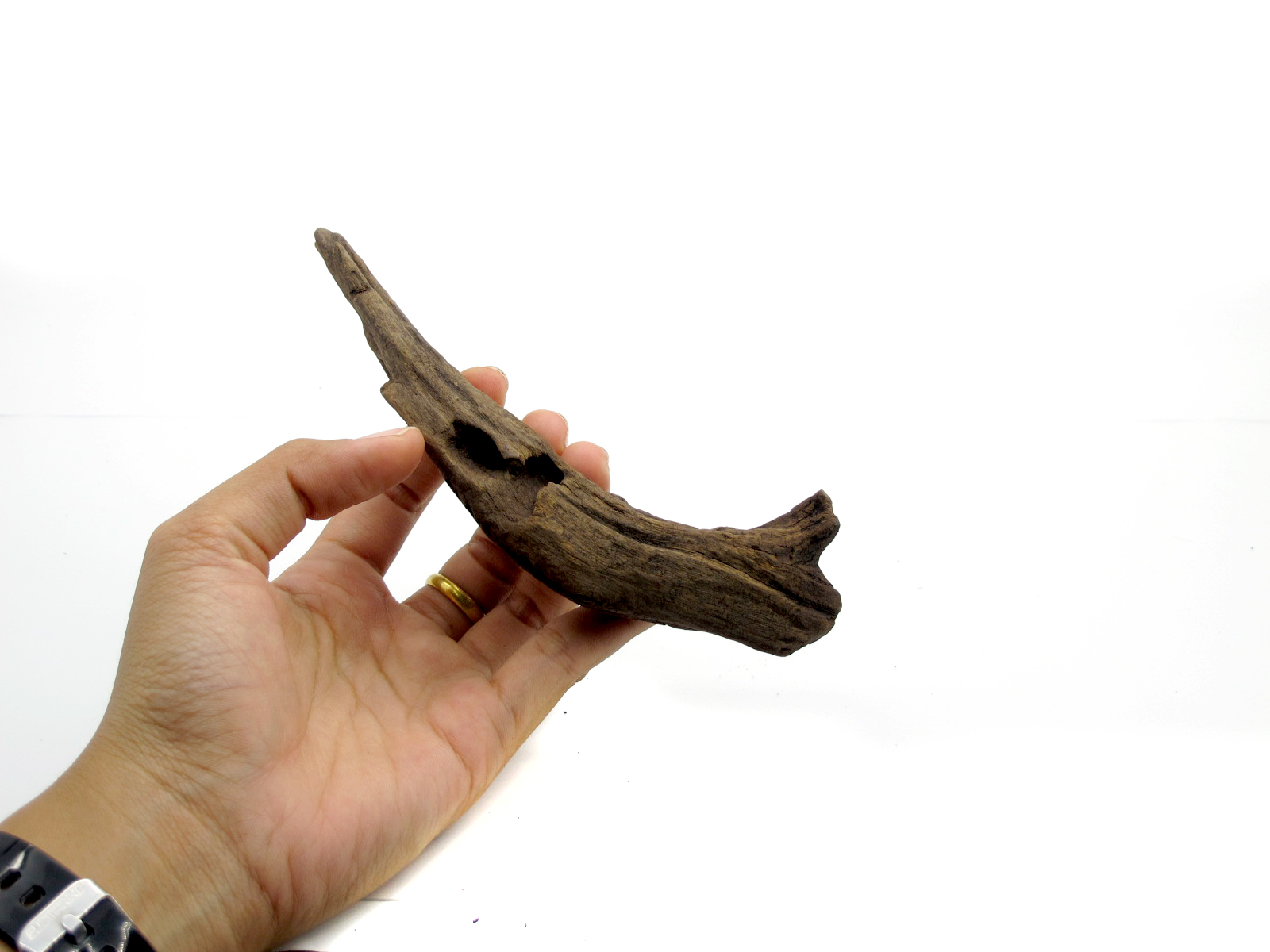 ขอนไม้ตกแต่งตู้ปลาหรือใช้เลี้ยงสัตว์เลื้อยคลาน 063