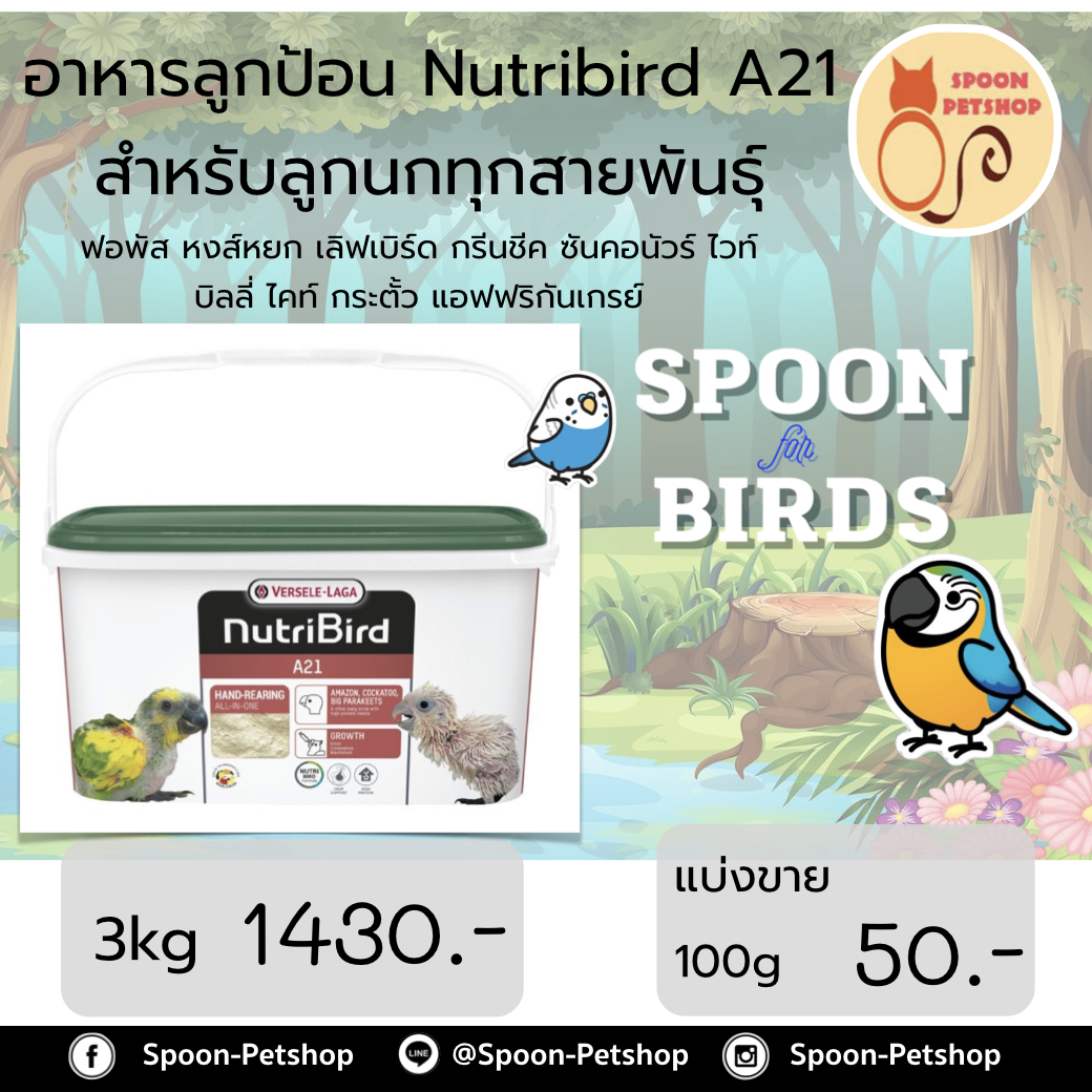 Nutribird A21 อาหารนก ลูกป้อน สำหรับลูกนกทุกทุกสายพันธุ์ 3kg