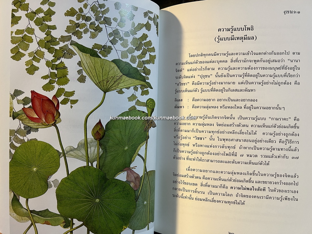 รู้ไว้ใช่ว่า ( 4 เล่ม Boxset ) กัลยาณี ลี้อิสระนุกูล เขียน