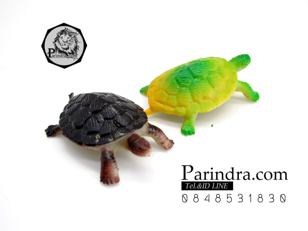 โมเดลเต่าญี่ปุ่น ชุดคู่สองตัว