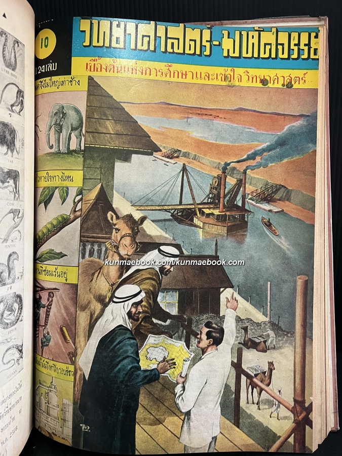 วิทยาศาสตร์ - มหัศจรรย์ ชุดที่ 1 ตอน 1 เล่ม 1 - 12 ( ปกสวย )