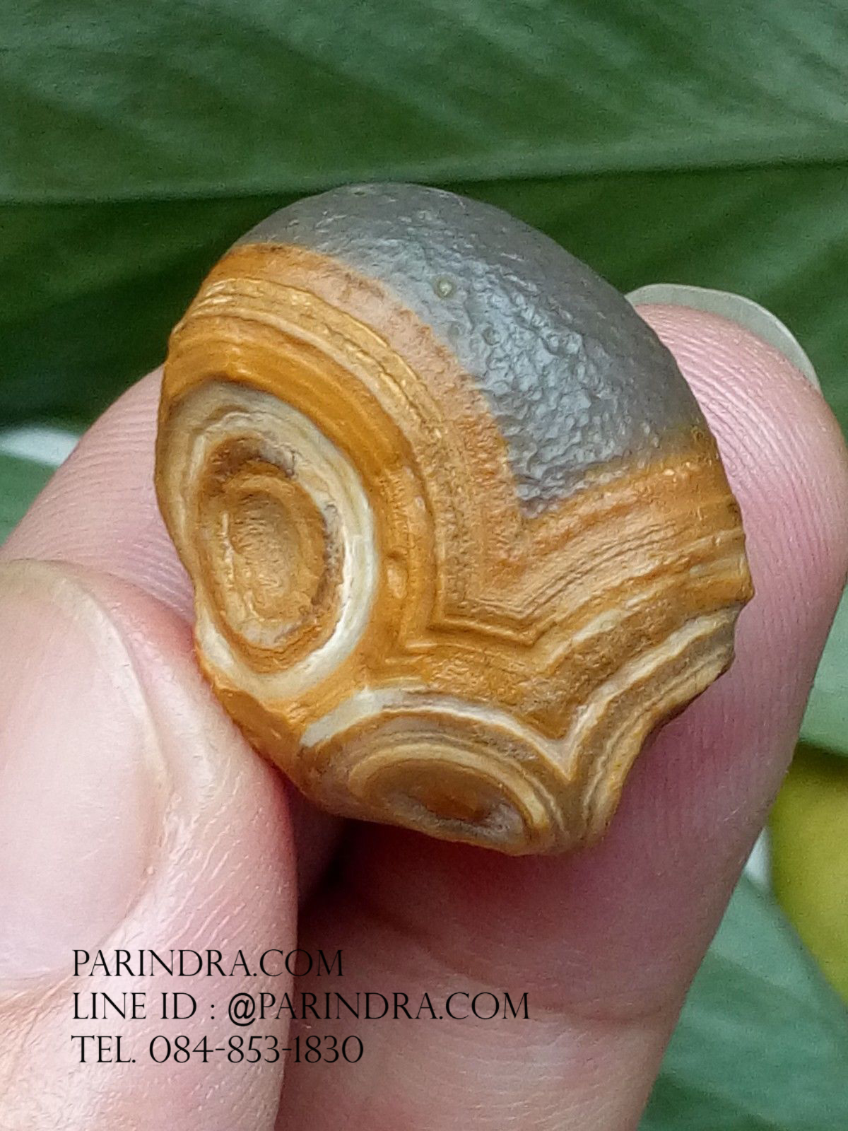 หินรูปทรงประหลาดจากทะเลทรายโกบี GOBI Eye Stone #GOBI001