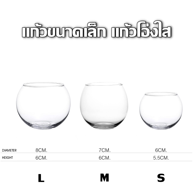 แก้วโอ่งใส ขนาด S / M / L