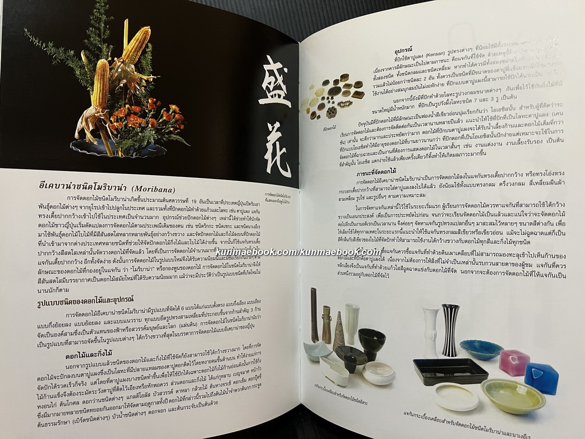 อนุสรณ์ในงานพระราชทานเพลิงศพ นางถนิต จักรปาณีศรีศีลวิสุทธิ์ ( สกุลเดิม ณ สงขลา )