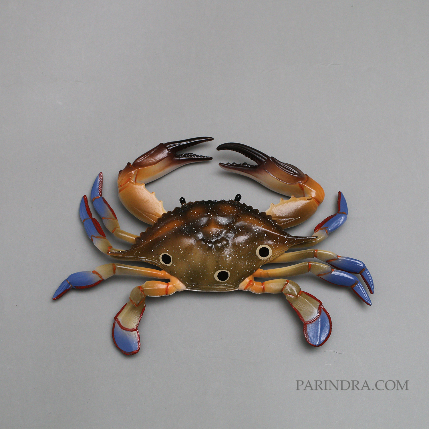 โมเดลจำลอง ปูม้าเพศผู้ ปูดาว สวยงาม เหมือนจริงมากๆ