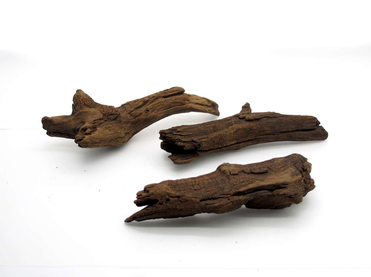 ขอนไม้ตกแต่งตู้ปลาหรือใช้เลี้ยงสัตว์เลื้อยคลาน 066