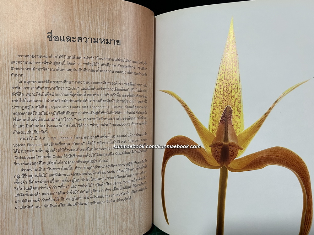 อนุสรณ์ในงานพระราชทานเพลิงศพ หม่อมเจ้าทิตยาทรงกลด จักรพันธุ์ ท.จ.