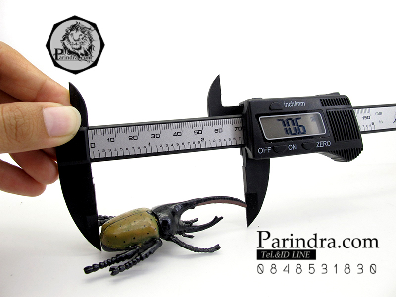 โมเดลด้วงเฮอร์คิวลิส แม่เหล็กติดตู้เย็น