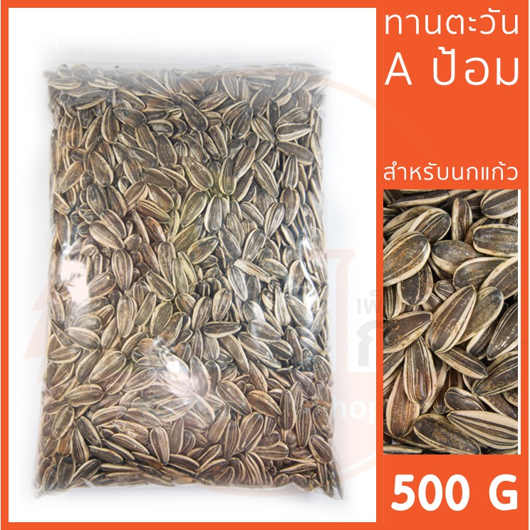 [500G] ทานตะวัน A ป้อม สำหรับนกแก้ว และ สัตว์ฟันแทะ