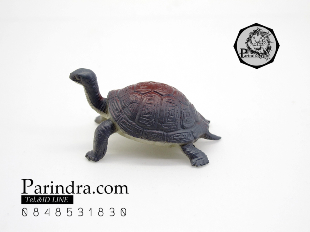 โมเดลเต่ายักษ์กาลาปากอส ชุดคู่สองตัว