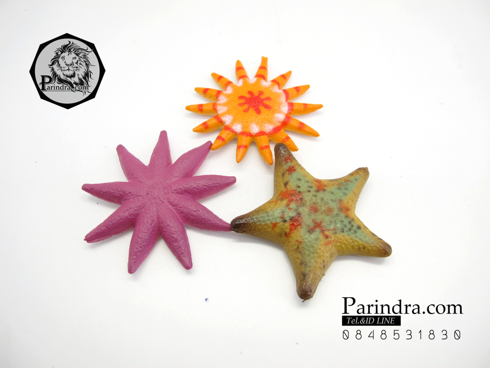 โมเดลดาวทะเลชุด Educational Toys Sea Star Fish