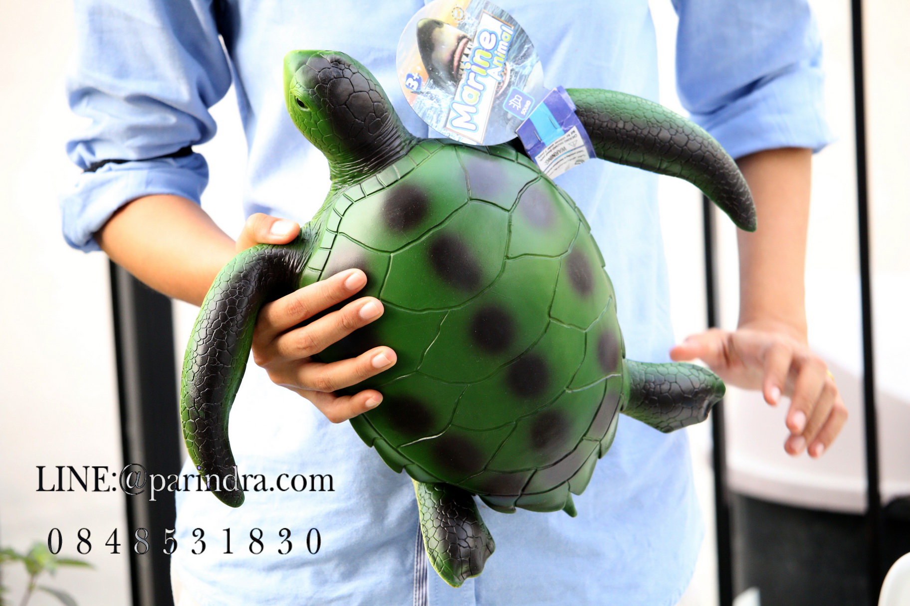 โมเดลเต่าทะเลสีเขียว ขนาด 15 นิ้ว ยางอ่อนนุ่มนิ่ม บีบได้