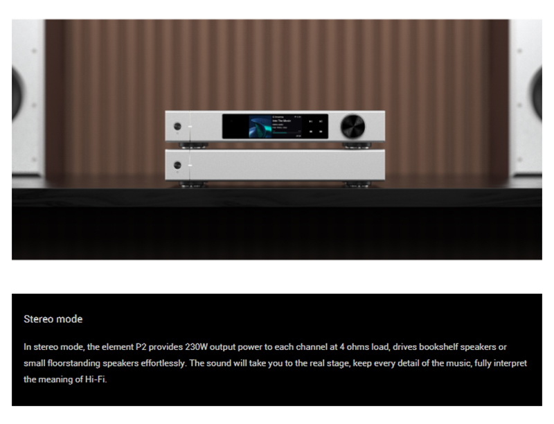 Matrix Audio Element P2 Power Amplifier คลาส D สำหรับเครื่องเสียง ประกันศูนย์ไทย