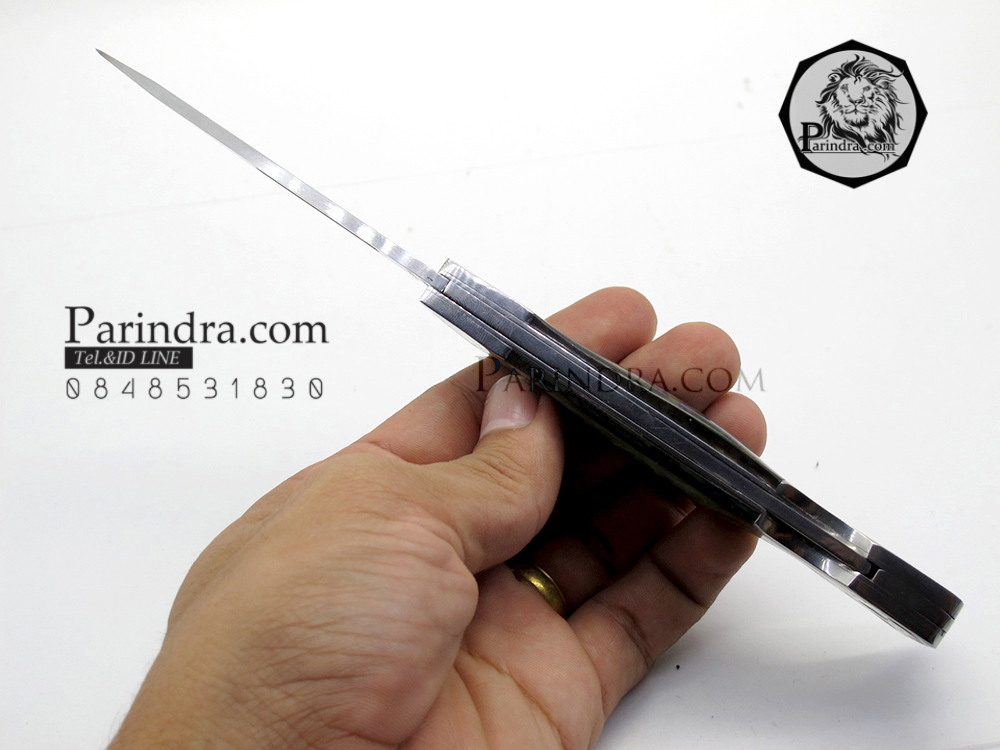 มีดพับแสตนเลส COLUMBIA G290 ด้ามสีปีกแมลงทับ