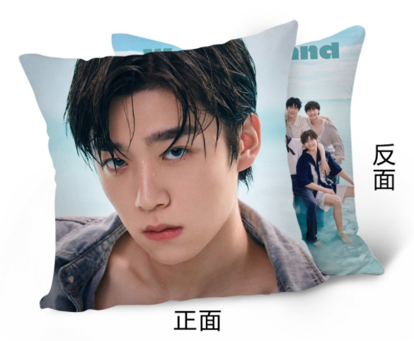 หมอน INTO1 - Wonderland