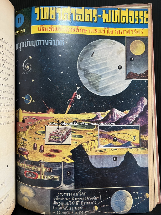 วิทยาศาสตร์ - มหัศจรรย์ ชุดที่ 1 ตอน 1 เล่ม 1 - 12 ( ปกสวย )