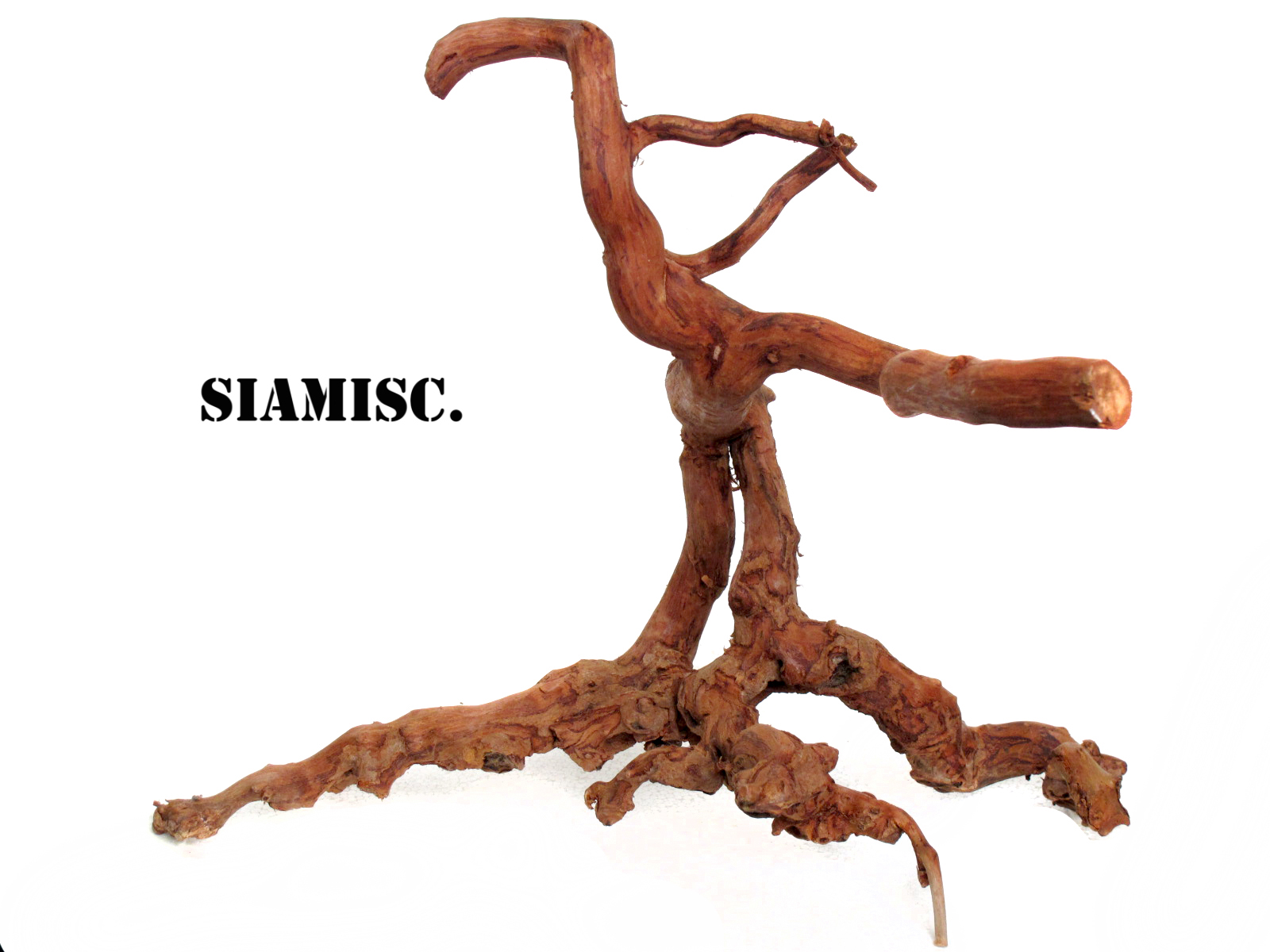 รากไม้แดงตกแต่งตู้ปลาหรือใช้เลี้ยงสัตว์เลื้อยคลาน 025