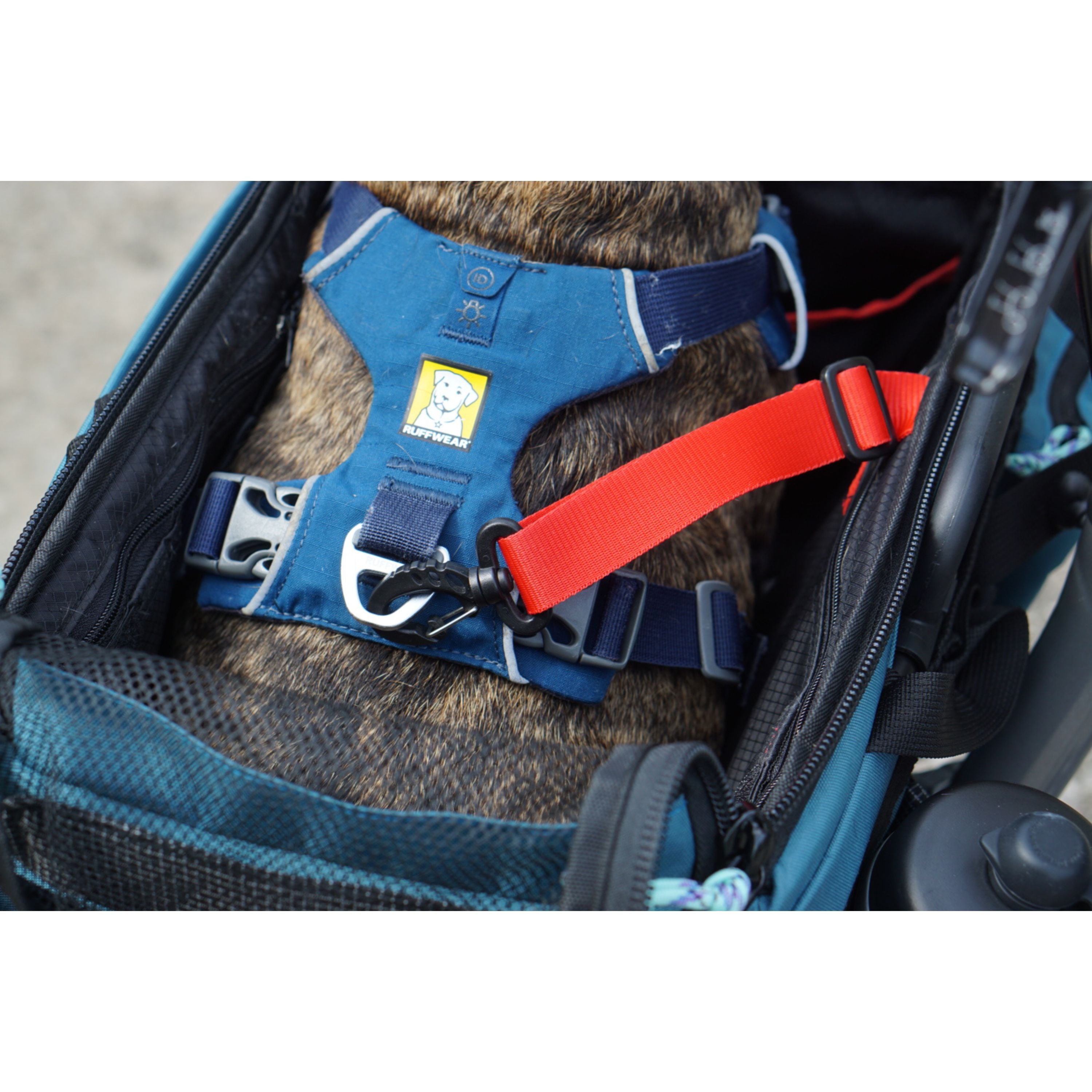 Vincita B209B ตะกร้าใส่สัตว์เลี้ยง CADDY สำหรับจักรยานบรอมตัน