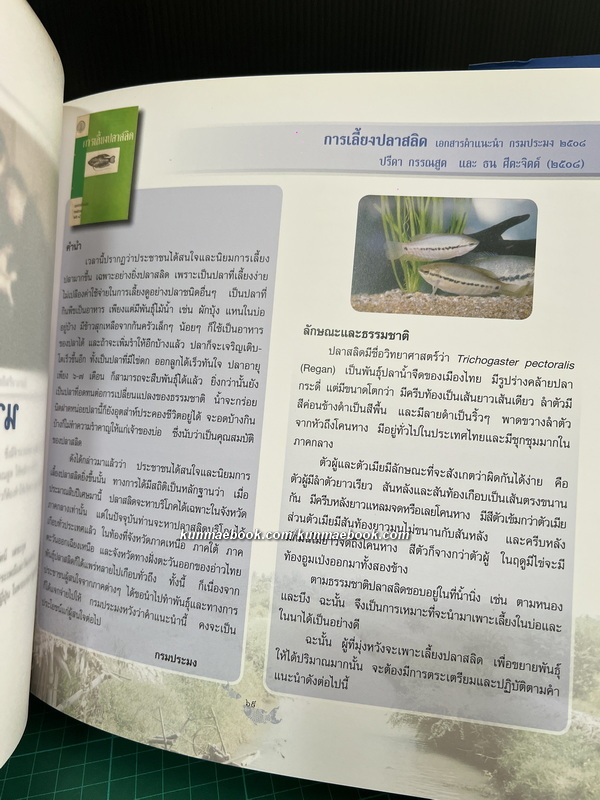 ชีวิตเปี่ยมคุณค่า ปรีดา กรรณสูต