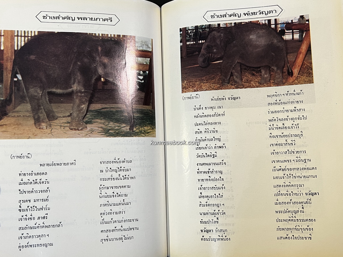 บทร้อยกรองพระราชพิธีขึ้นระวางสมโภชช้างสำคัญ 3 เชือก อนุสรณ์ นางสาวเลี่ยม ศุขะพานิช