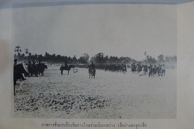 ประวัติการลูกเสือไทย ๖๐ ปี