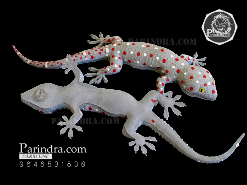 ตุ๊กแกปลอมตัวใหญ่ มาใหม่ เหมือนจริงมาก ขนาด 11 นิ้ว ตัวพ่อ