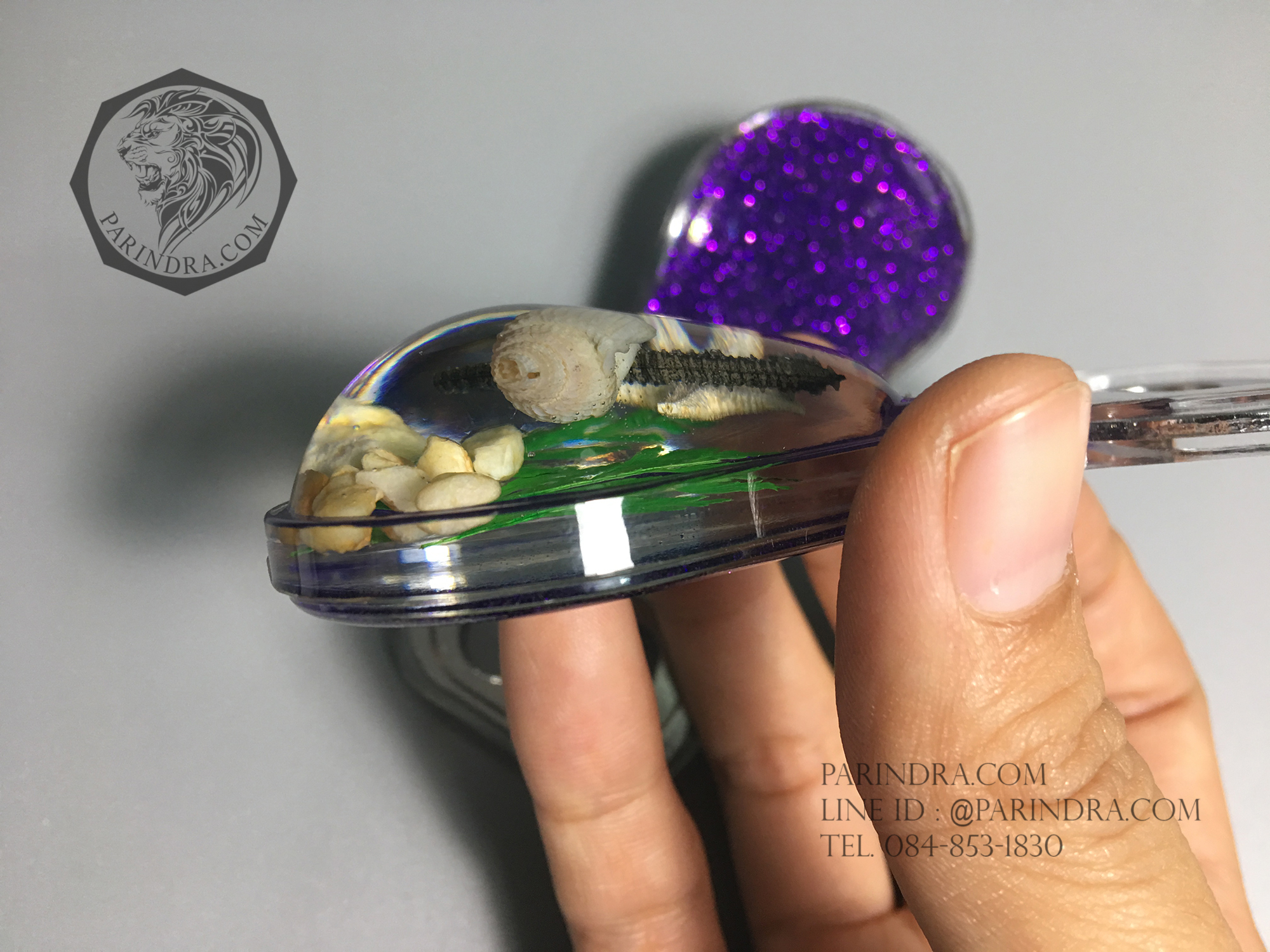 ที่เปิดขวด ชุดสัตว์ทะเลรวม ในเรซิ่น แบบมีแม่เหล็กติดกับตู้เย็น 1