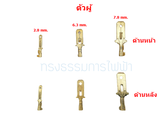 หางปลาทองเหลือง แบน 6.3mm. #ตัวผู้ (ห่อ=10ตัว)