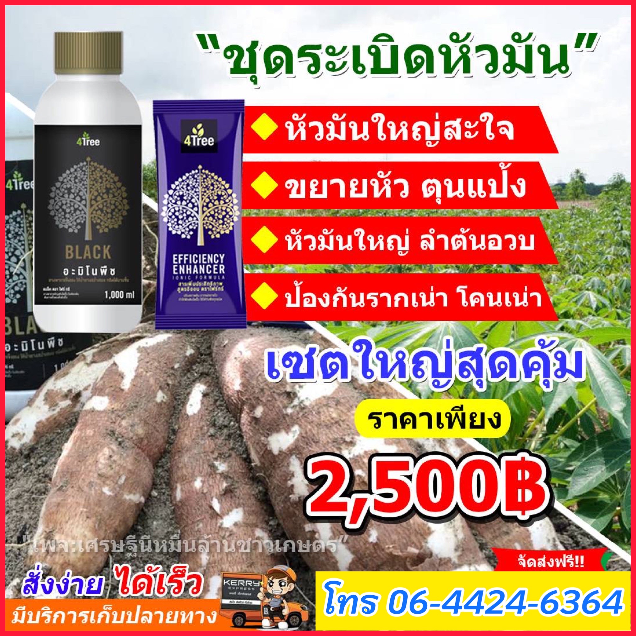 ชุดระเบิดหัวมัน ขนาดทดลอง 2500 บาท