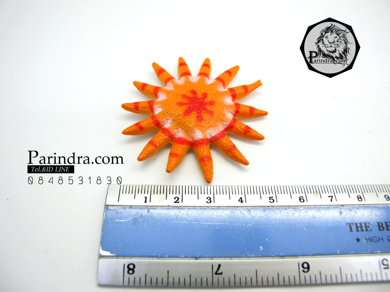 โมเดลดาวทะเลชุด Educational Toys Sea Star Fish