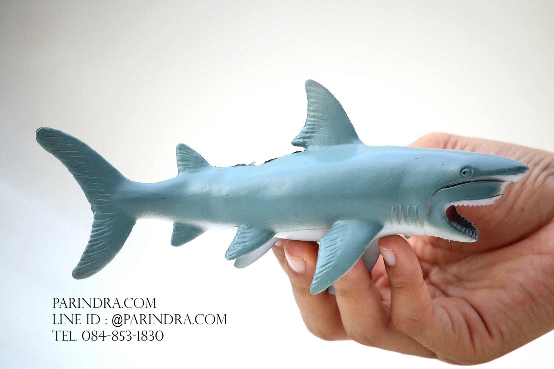 โมเดลสัตว์ทะเล ชุด Ocean World กลุ่มปลาฉลามหลากหลายสายพันธุ์