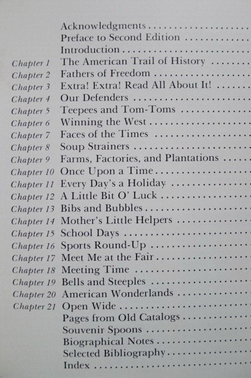 American Spoons: Souvenir and Historical (Hardcover)