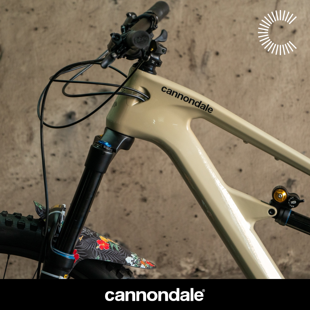 จักรยานเสือภูเขา CANNONDALE Habit Carbon 2 | เฟรมคาร์บอน 12 สปีด โช้ค RockShox | สำหรับสายเทรล 2024