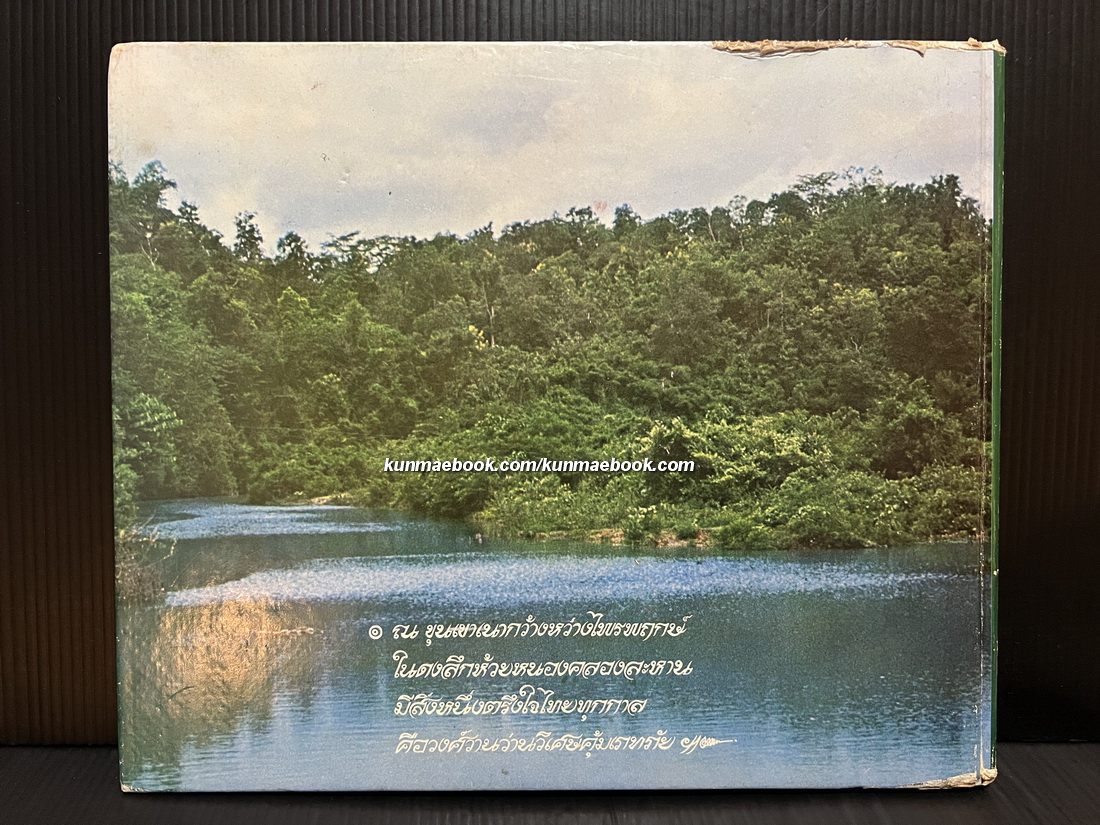 ตะลุยดงว่าน ค้นคว้าและบันทึกภาพโดย เชษฐา