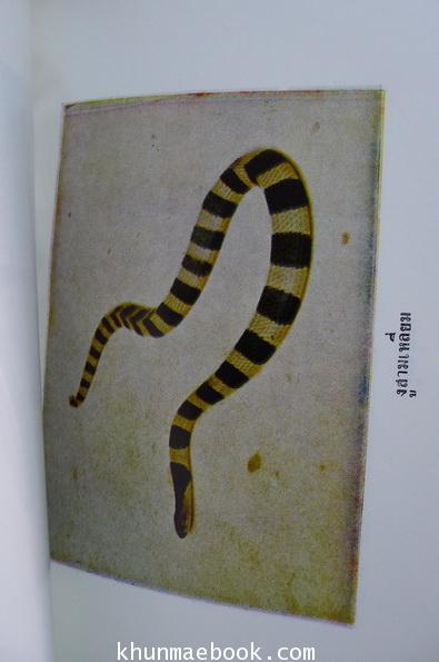 การพระราชทานนามสกุล ณ ป้อมเพ็ชร์ , เรื่องงูพิษ และ สุนัขบ้า อนุสรณ์นายชาญชัย ณ ป้อมเพ็ชร์