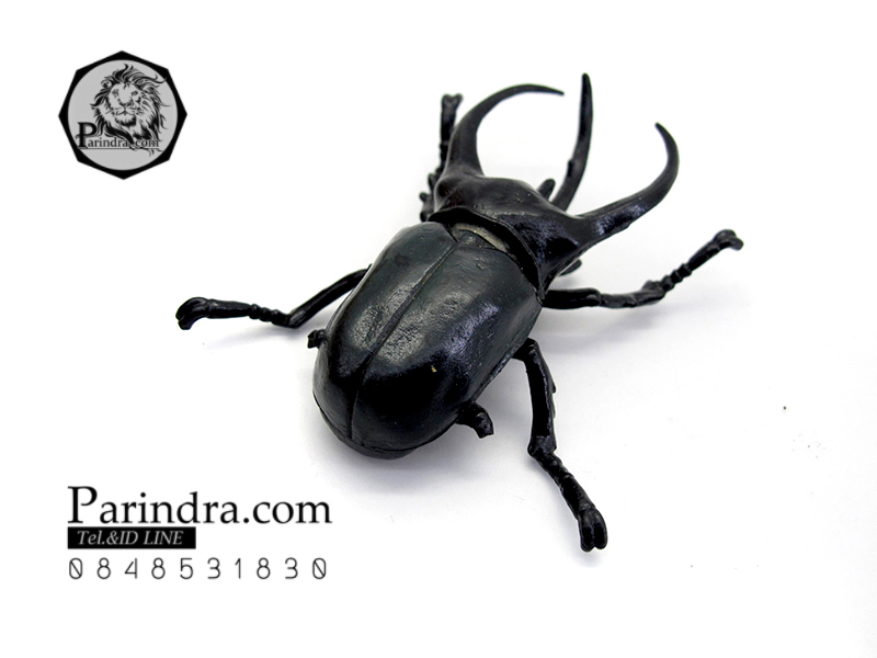 โมเดลด้วง ชำรุด