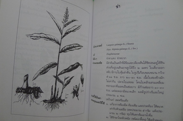 อนุสรณ์ในงานพระราชทานเพลิงศพ นางประเทือง พยัฆวิเชียร