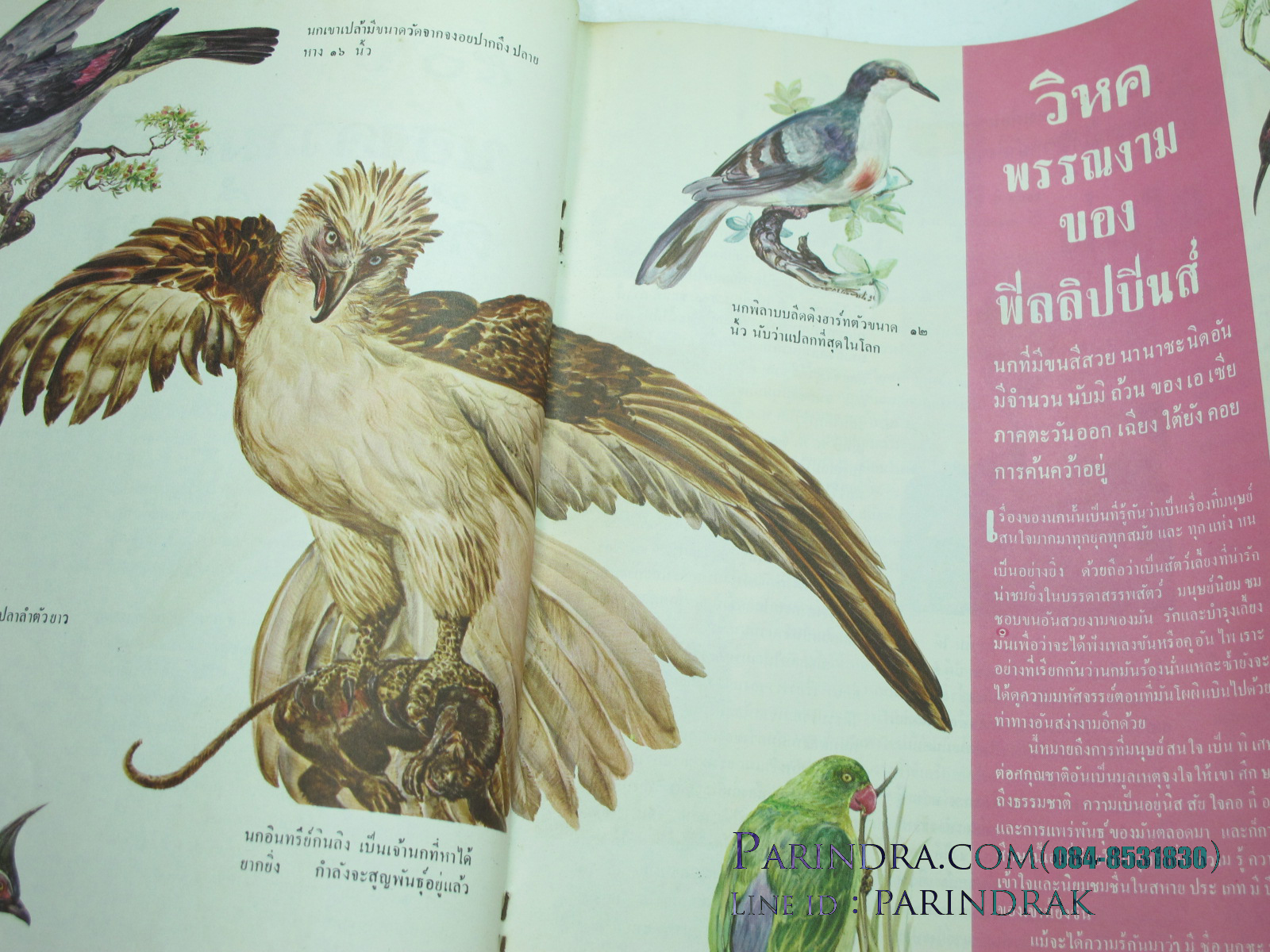 นิตยสาร "เสรีภาพ" ฉบับที่ 79