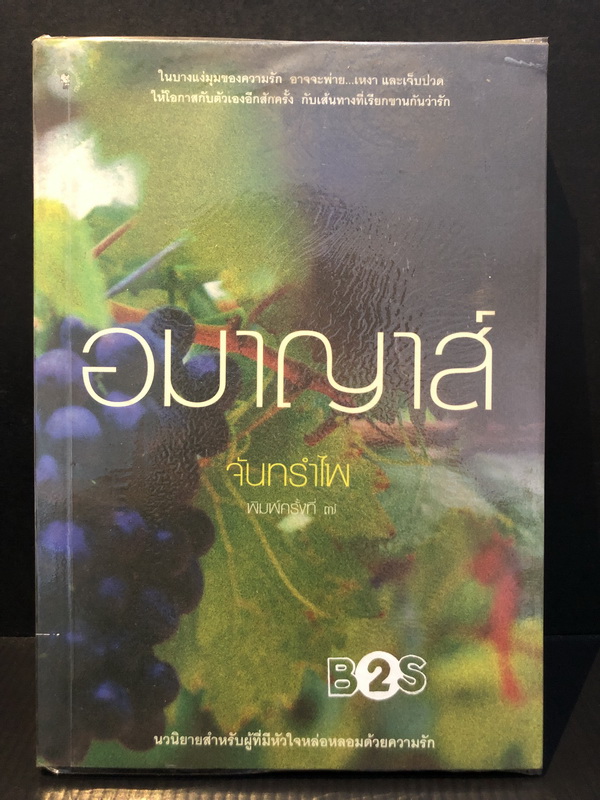 อมาญาส์ ผลงานของ จันทรำไพ
