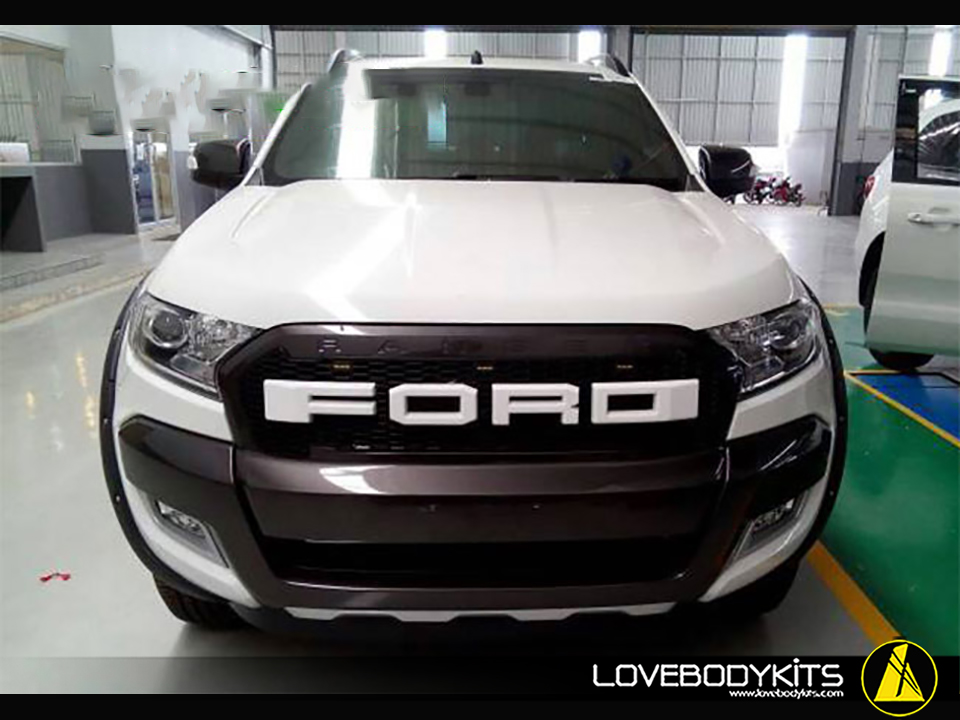 กระจังหน้า โลโก้ FORD สี