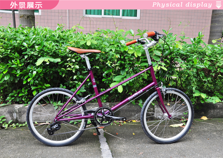 จักรยานมินิ DARKROCK V-22 MINI VELO BIKE ล้อ 451 ขนาด 20*1 1/8 นิ้ว 9สปีด LTWOO