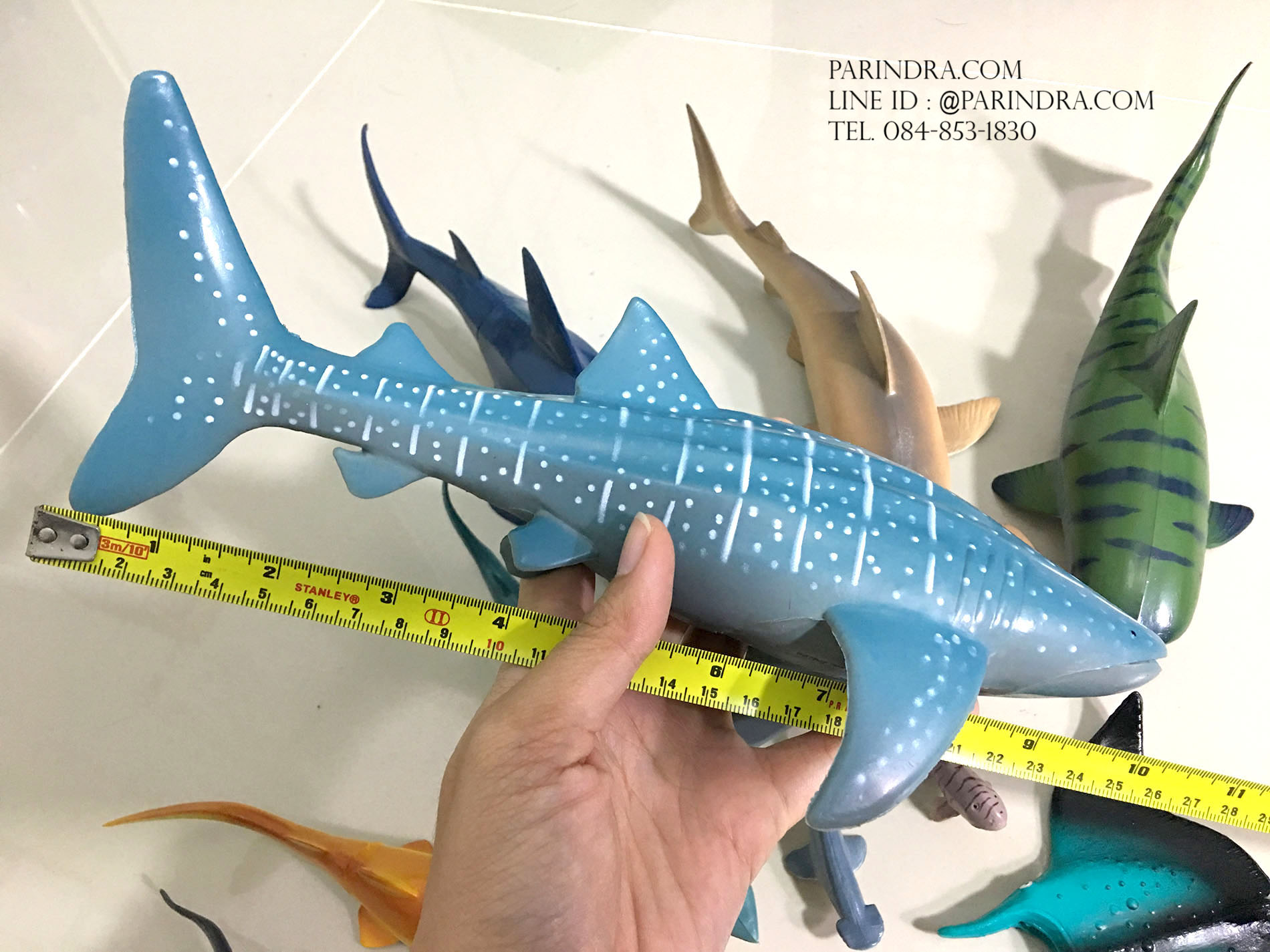 โมเดลสัตว์ทะเล ชุด Ocean World กลุ่ม ฉลาม หลากหลายสายพันธุ์