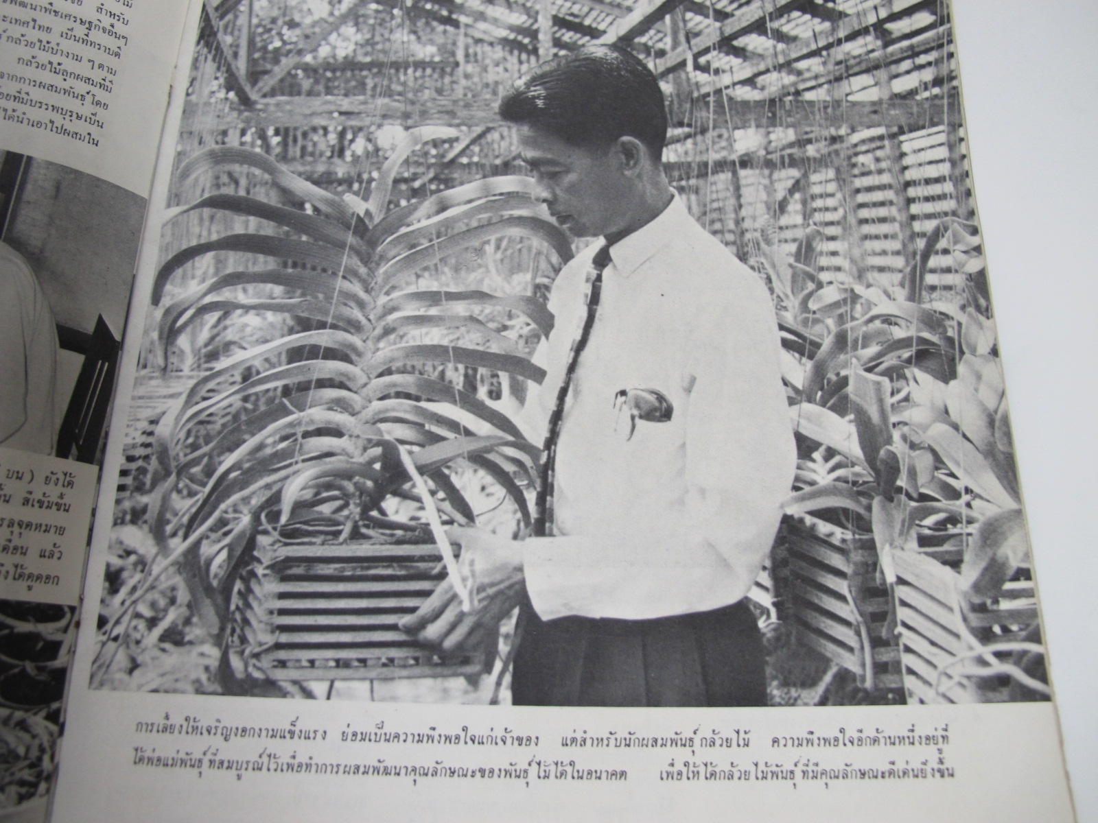 นิตยสาร "เสรีภาพ" ฉบับที่ 109