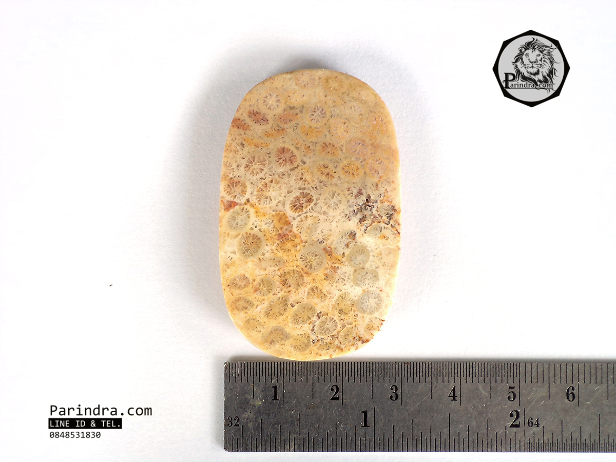 ฟอสซิลหินปะการังขัด สำหรับห้อยคอ หรือ พวงกุญแจ คัดสวยพิเศษ #CRF010