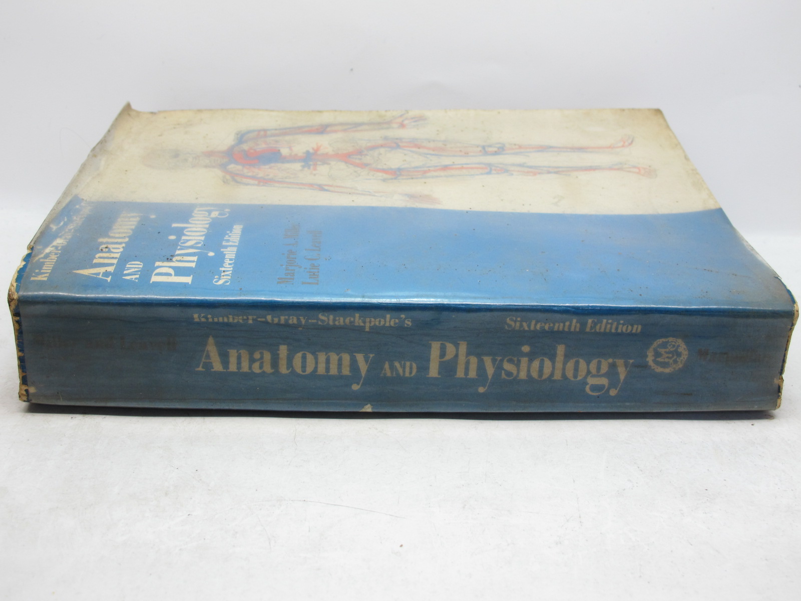 กายวิภาคศาสตร์ และ สรีระวิทยาของมนุษย์ Anatomy and Physiology
