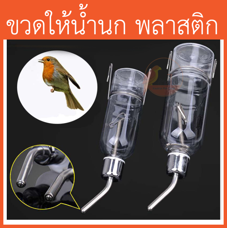 [พร้อมส่ง] ขวดน้ำนกพลาสติก ขวดน้ำอัตโนมัติ ขวดใส่น้ำนกแก้ว ที่ให้น้ำนกแก้ว ขวดน้ำ หนู กระต่าย