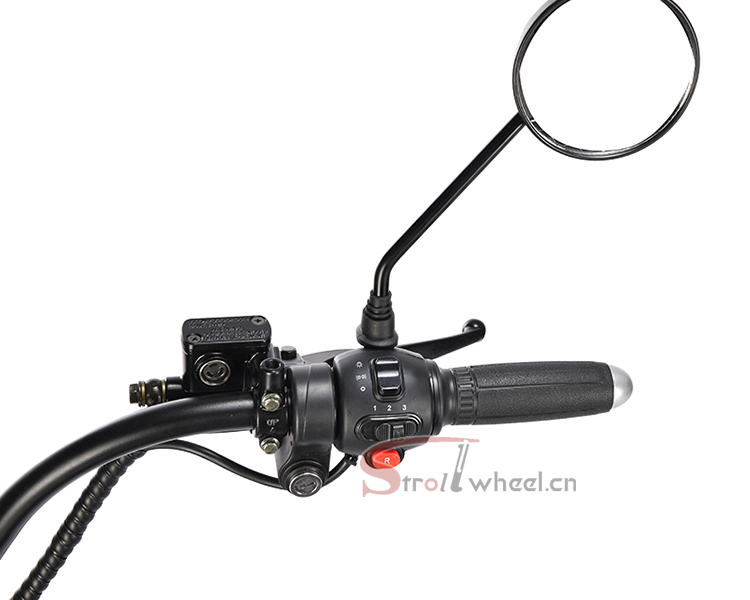 StrollWheel HM-3 รถสกูตเตอร์ไฟฟ้า 3 ล้อ Citycoco 2000W | แบตเตอรี่ 60V 20Ah | วิ่งไกล 50-60 กม. | สีหลากหลาย