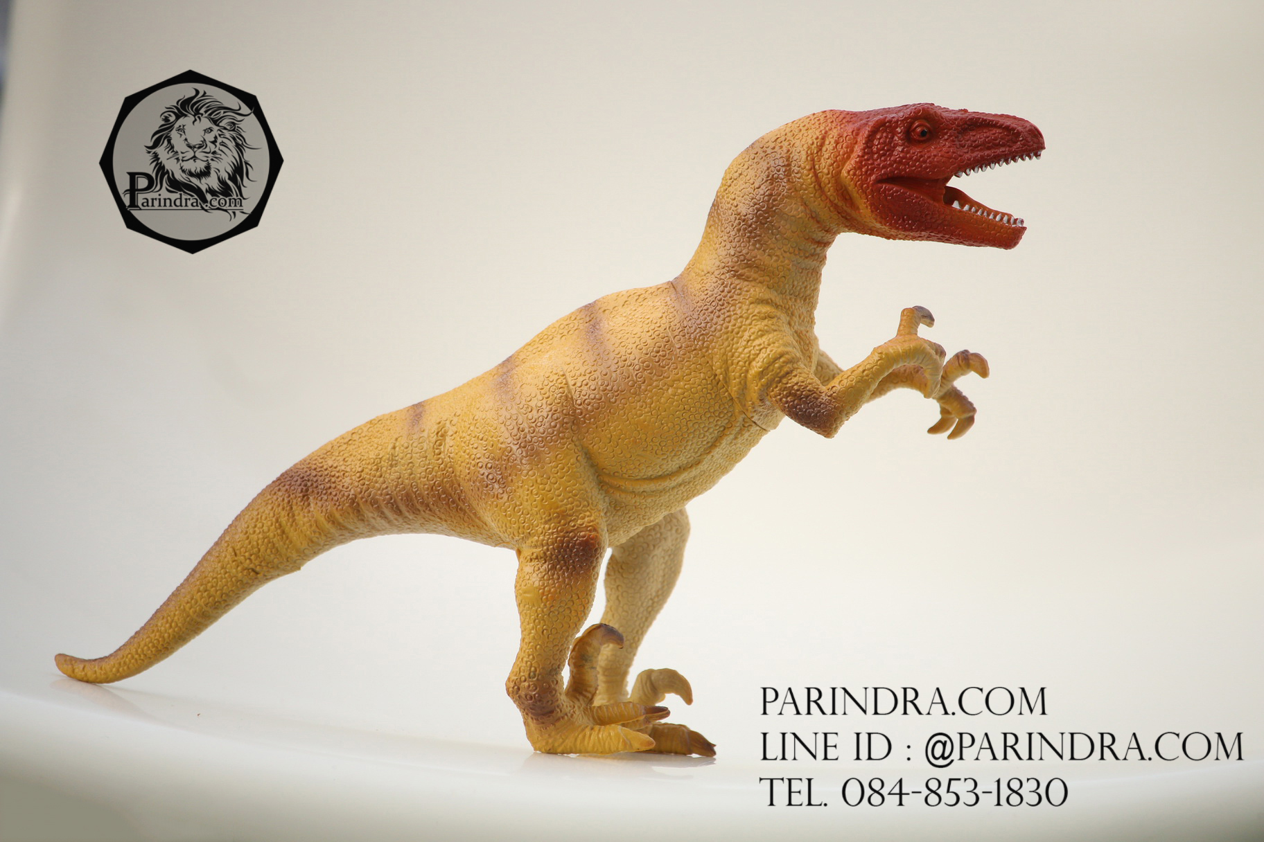 โมเดลไดโนเสาร์ Velociraptor (เวโลซีแรปเตอร์)