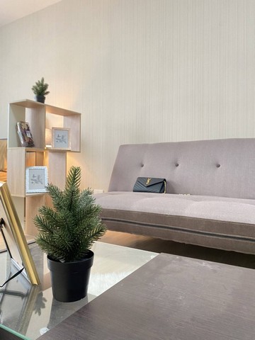 ให้เช่า พลัม คอนโด พหลโยธิน 89 เฟส5 ตึกD 28 ตรม.เฟอร์ครบ มีเครื่องซักผ้า ใกล้แม็คโคร รังสิต