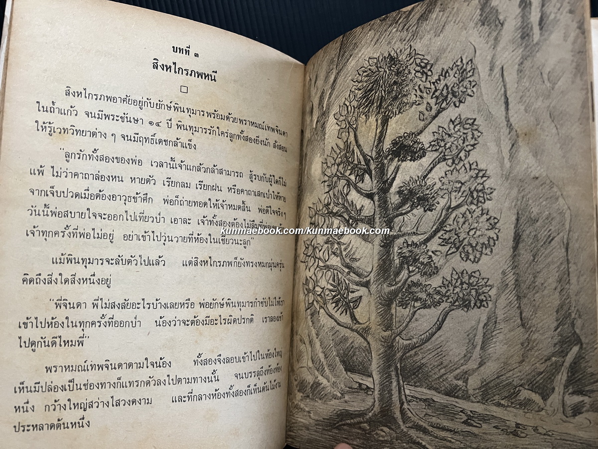 โคบุตร สิงหไกรภพ